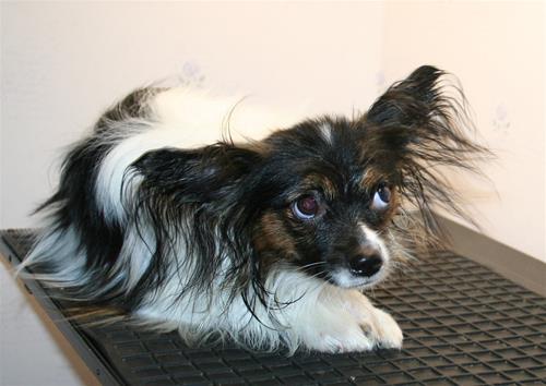 IMG_6354 IMG_6354