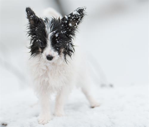 _DSC7649 _DSC7649