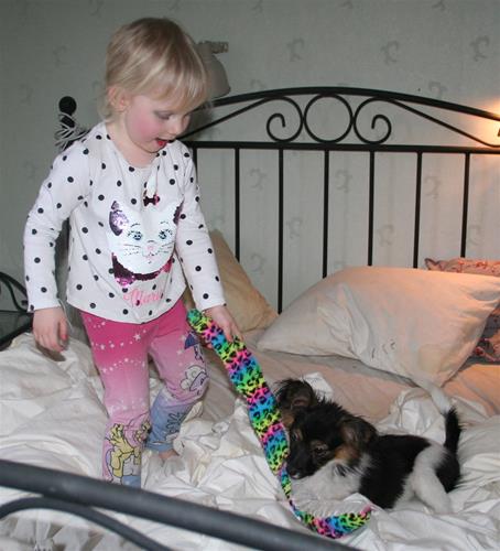 IMG_8924 IMG_8924