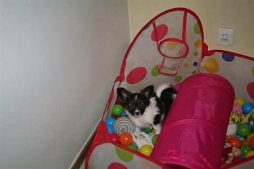 IMG_5586 IMG_5586