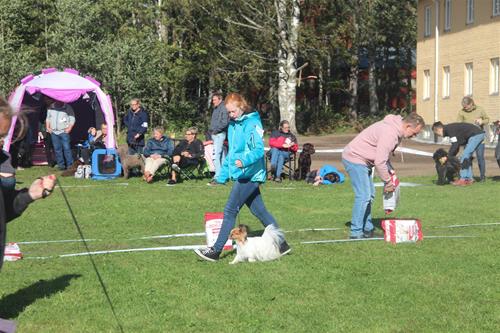 42330622_236296110378585_7039167178683187200_n 42330622_236296110378585_7039167178683187200_n