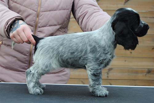 valpar 8 vecka 156 valpar 8 vecka 156