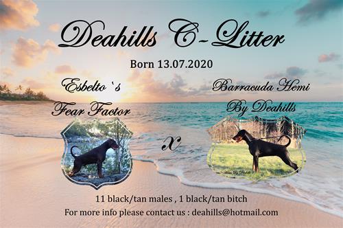 deahills c litter