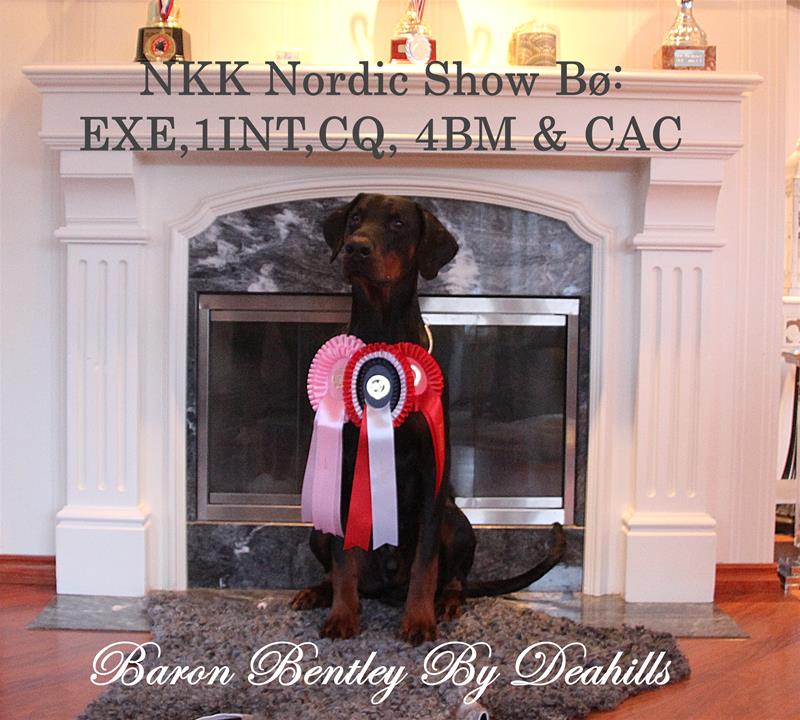 bentley.sitt1 bentley.sitt1