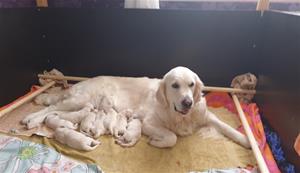 thumbnail_20230418_103238