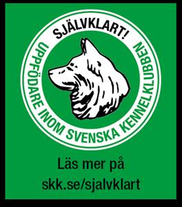 Skk banner