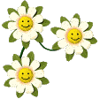 Smileblomster Smileblomster