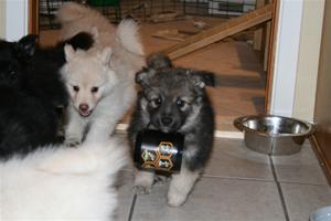 IMG_2626 IMG_2626
