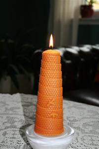 IMG_1335 IMG_1335