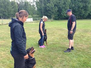 IMG_0891 IMG_0891