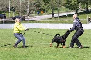 IMG_1547