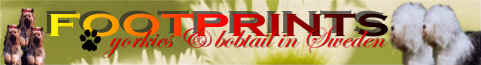 46860banner12