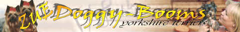 zuedoggyboom