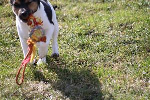 IMG_7120 IMG_7120
