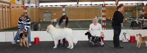 IMG_9971 IMG_9971