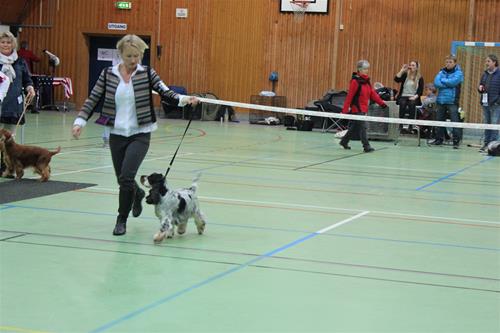IMG_5264 IMG_5264
