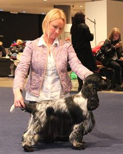 IMG_4868 IMG_4868