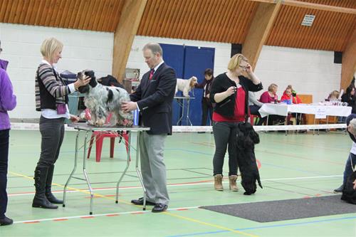 IMG_5257 IMG_5257