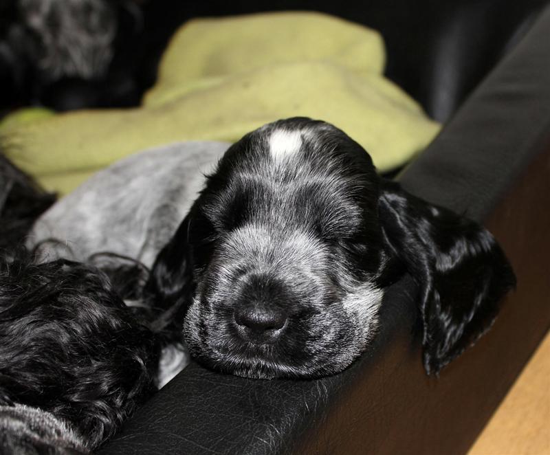 Mille sover.. Mille sover..