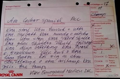 10aprACC kritikzantos 10aprACC kritikzantos