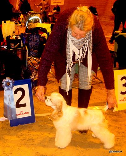 DSC07900 DSC07900