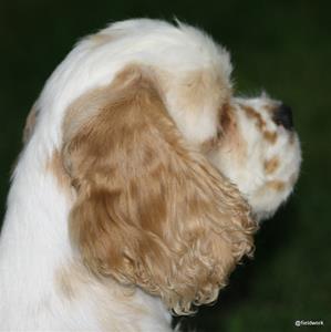 IMG_6193 IMG_6193
