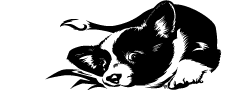 351d6696-cc82-4889-9328-8aa76ad5eb274 351d6696-cc82-4889-9328-8aa76ad5eb274