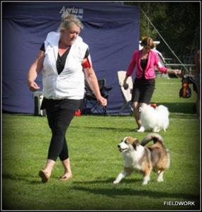 IMG_8645 IMG_8645
