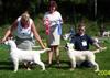 bis_svall04 bis_svall04