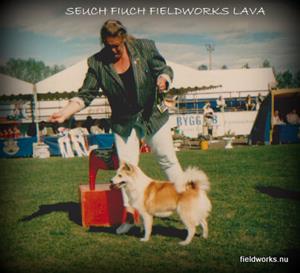BIG-5 avesta_96 BIG-5 avesta_96