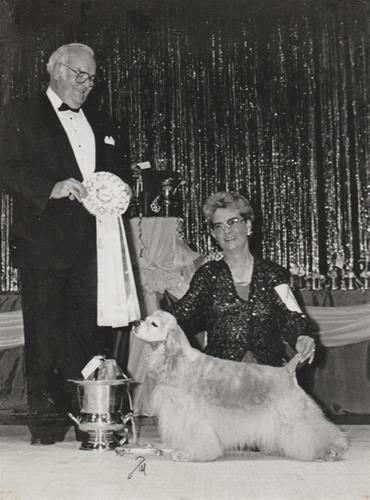 veteranofveterans1989 veteranofveterans1989