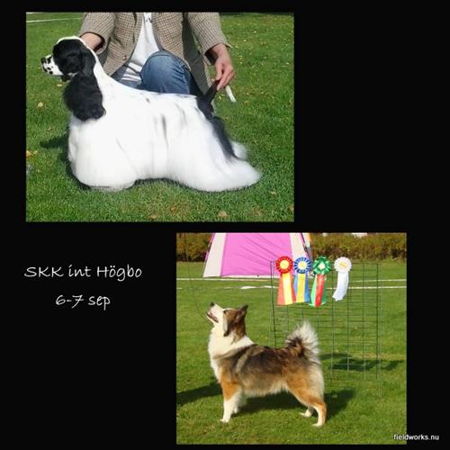 7SEP(SKK Högbo) 7SEP(SKK Högbo)