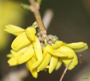 IMG_0147 IMG_0147