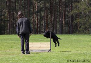 IMG_9382