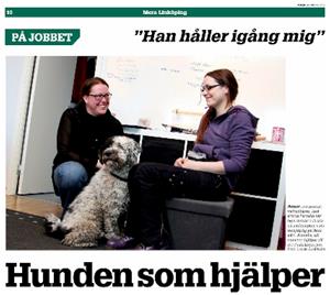 För hemsidan