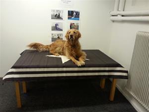 Morris på undersökningsbordet