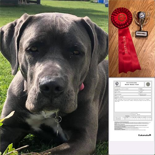 MyCollage_201911199322075