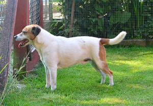 DSC_0957 DSC_0957