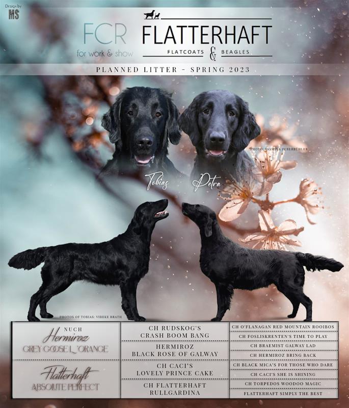 flatterhaft-tobias-petra flatterhaft-tobias-petra