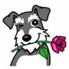 20190501_122649142_iOS