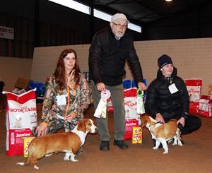 BIR valp tv.Kilhammars Helly & BIM valp Th.Harvindens Buster II