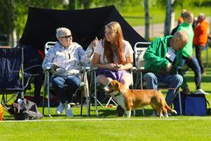Mönstergårdens Pila
