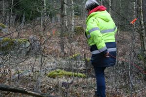 Aktiveringskurs, viltspår