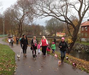 promenadgänget