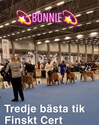 266996226_10162595099624619_7185952404610334570_n 266996226_10162595099624619_7185952404610334570_n