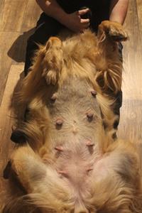 IMG_1196 IMG_1196