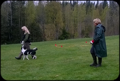 BT Lena & Kryddan BT Lena & Kryddan