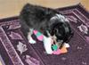 DSC_0095 (2)