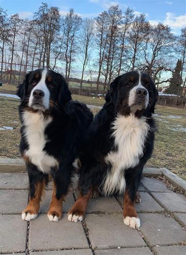 lilly_boston_feb2019