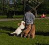 benderpupp_8v_oskar_walk